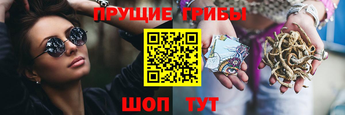 Галлюциногенные грибы мицелий Курчатов