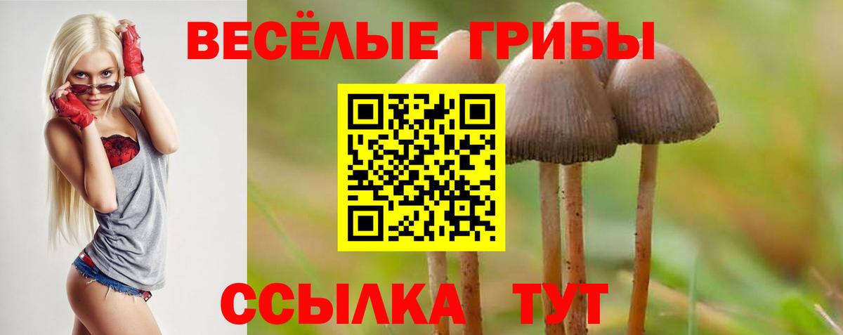 Галлюциногенные грибы MAGIC MUSHROOMS  Вход с VPN  Курчатов 