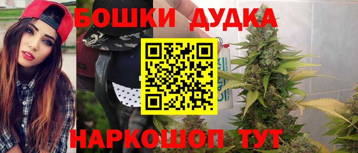 Каннабис конопля Курчатов