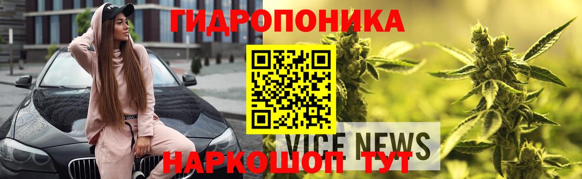 Шишки марихуана сатива  Канабис OG Kush  Вход с VPN  Курчатов  Бошки Шишки OG Kush 